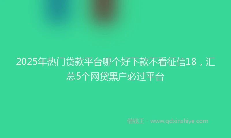 2025年热门贷款平台哪个好下款不看征信18，汇总5个网贷黑户必过平台