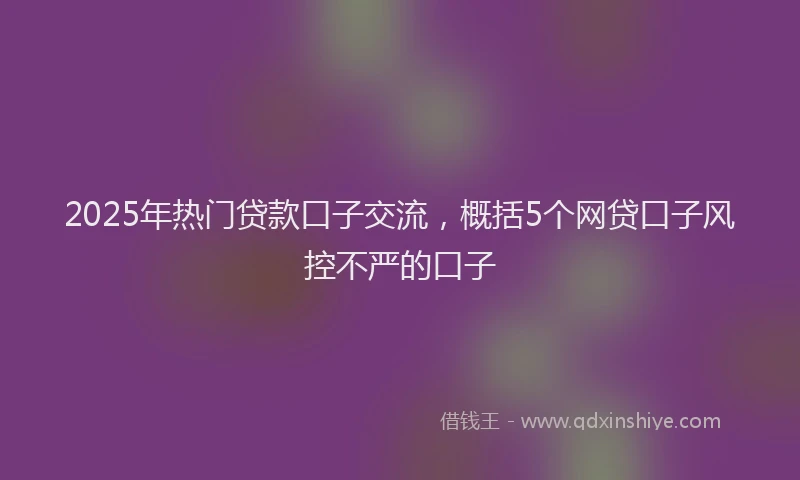 2025年热门贷款口子交流，概括5个网贷口子风控不严的口子
