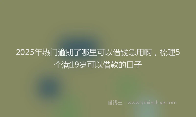 2025年热门逾期了哪里可以借钱急用啊，梳理5个满19岁可以借款的口子
