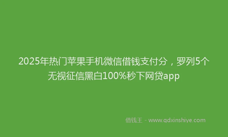2025年热门苹果手机微信借钱支付分，罗列5个无视征信黑白100%秒下网贷app