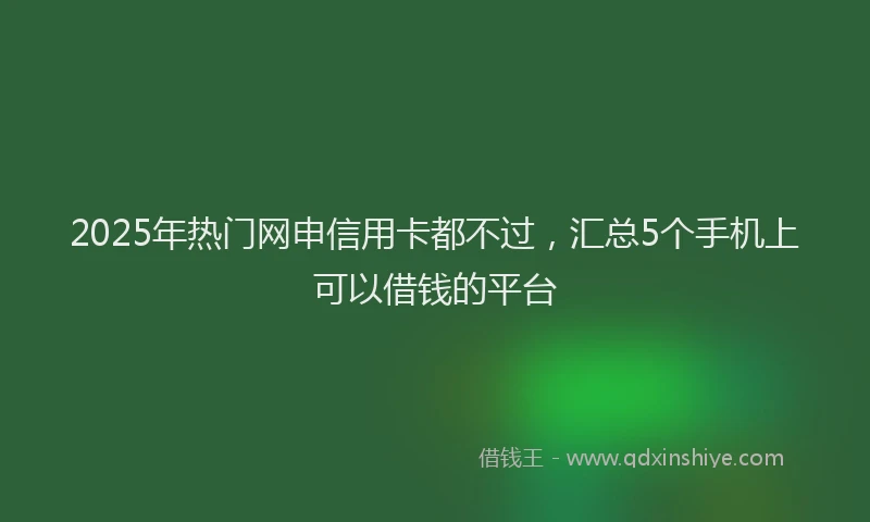 2025年热门网申信用卡都不过，汇总5个手机上可以借钱的平台