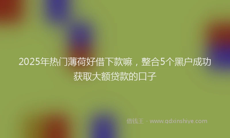 2025年热门薄荷好借下款嘛，整合5个黑户成功获取大额贷款的口子