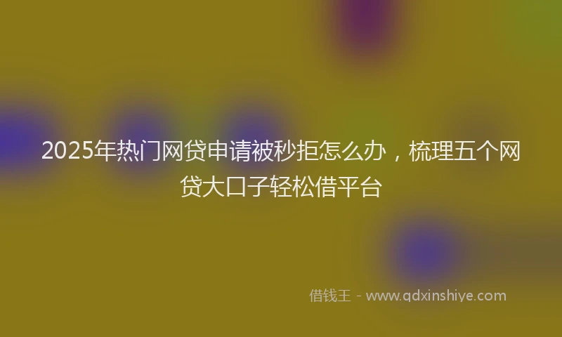 2025年热门网贷申请被秒拒怎么办，梳理五个网贷大口子轻松借平台