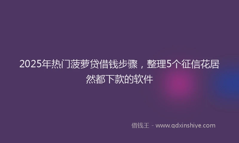 2025年热门菠萝贷借钱步骤，整理5个征信花居然都下款的软件