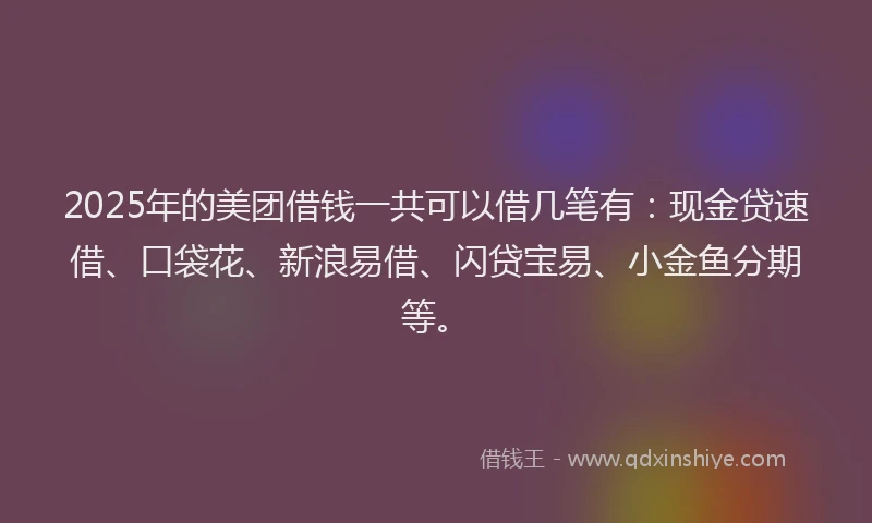 2025年的美团借钱一共可以借几笔有：现金贷速借、口袋花、新浪易借、闪贷宝易、小金鱼分期等。