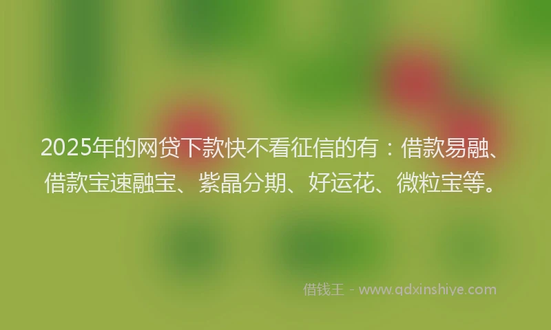 2025年的网贷下款快不看征信的有：借款易融、借款宝速融宝、紫晶分期、好运花、微粒宝等。