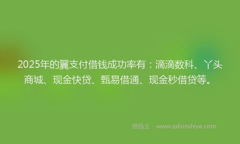 2025年的翼支付借钱成功率有：滴滴数科、丫头商城、现金快贷、甄易借通、现金秒借贷等。