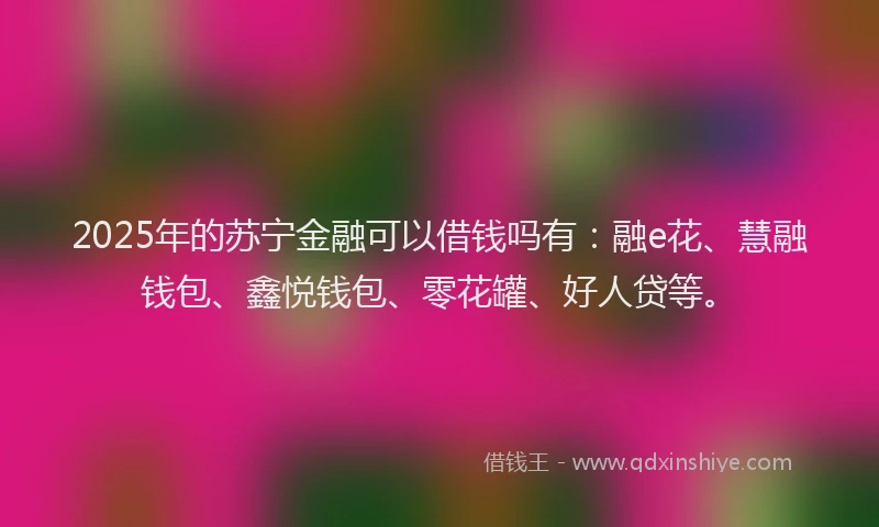 2025年的苏宁金融可以借钱吗有：融e花、慧融钱包、鑫悦钱包、零花罐、好人贷等。