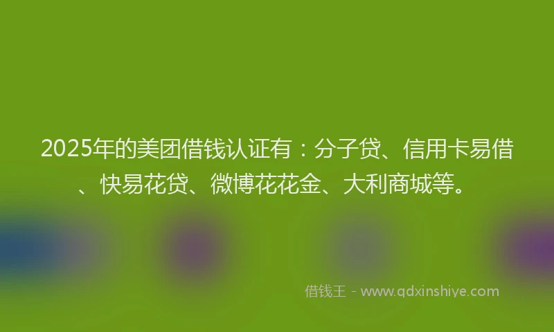 2025年的美团借钱认证有：分子贷、信用卡易借、快易花贷、微博花花金、大利商城等。