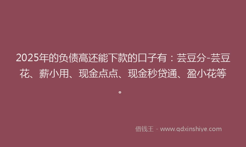 2025年的负债高还能下款的口子有：芸豆分-芸豆花、薪小用、现金点点、现金秒贷通、盈小花等。