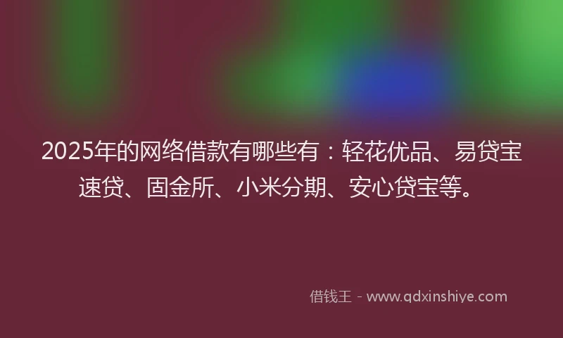 2025年的网络借款有哪些有：轻花优品、易贷宝速贷、固金所、小米分期、安心贷宝等。