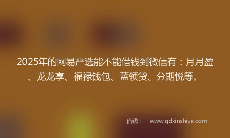 2025年的网易严选能不能借钱到微信有：月月盈、龙龙享、福禄钱包、蓝领贷、分期悦等。