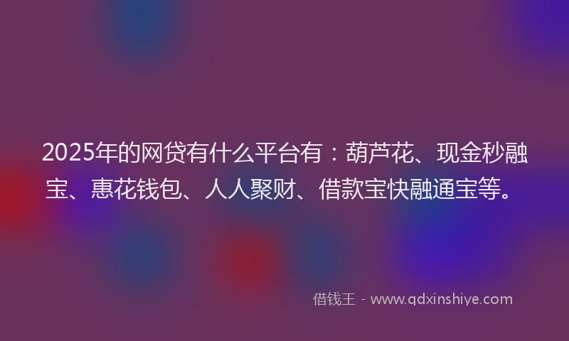 2025年的网贷有什么平台有：葫芦花、现金秒融宝、惠花钱包、人人聚财、借款宝快融通宝等。