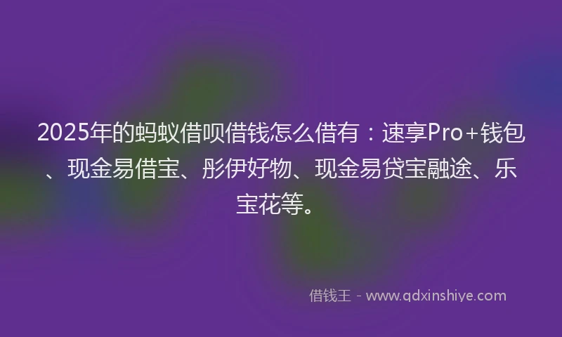 2025年的蚂蚁借呗借钱怎么借有：速享Pro+钱包、现金易借宝、彤伊好物、现金易贷宝融途、乐宝花等。