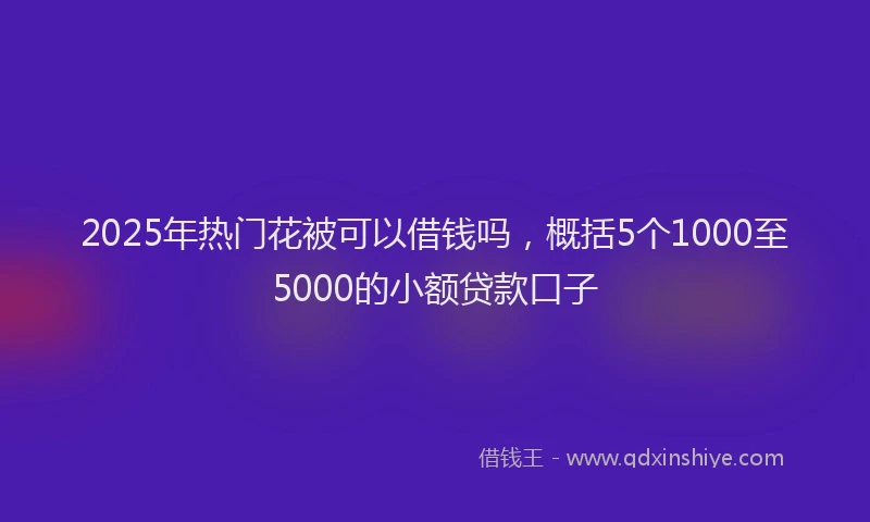 2025年热门花被可以借钱吗，概括5个1000至5000的小额贷款口子
