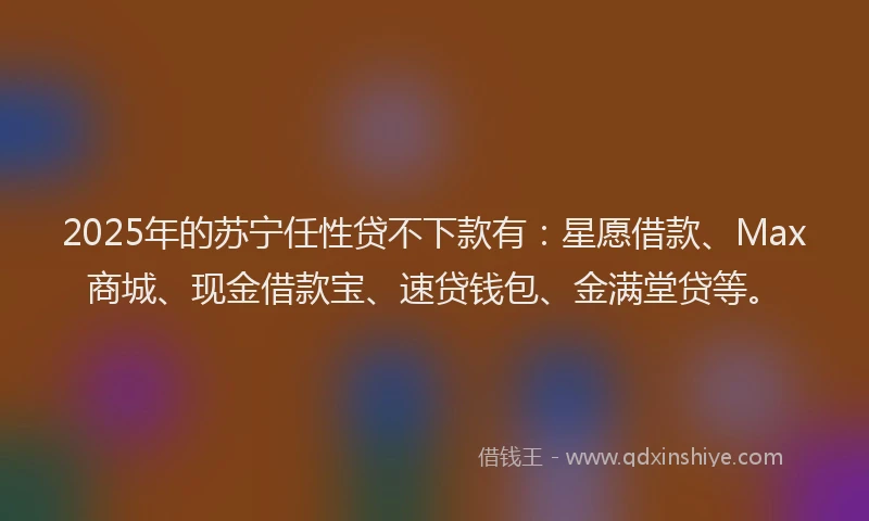 2025年的苏宁任性贷不下款有：星愿借款、Max商城、现金借款宝、速贷钱包、金满堂贷等。