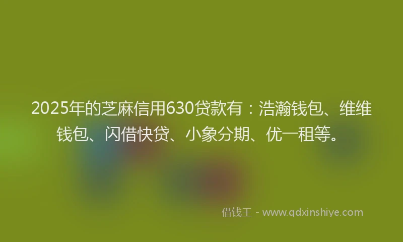 2025年的芝麻信用630贷款有：浩瀚钱包、维维钱包、闪借快贷、小象分期、优一租等。