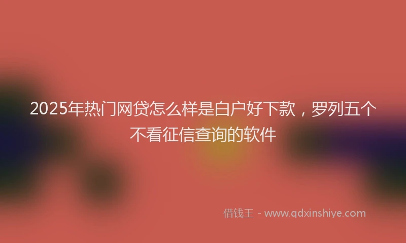 2025年热门网贷怎么样是白户好下款，罗列五个不看征信查询的软件