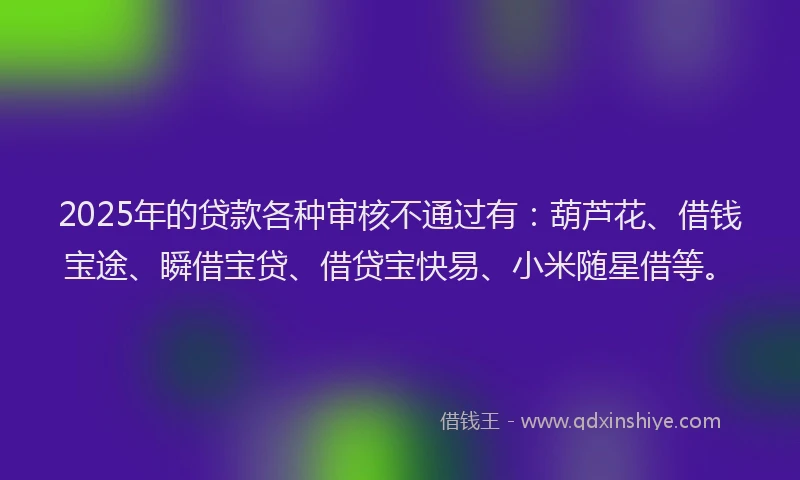 2025年的贷款各种审核不通过有：葫芦花、借钱宝途、瞬借宝贷、借贷宝快易、小米随星借等。