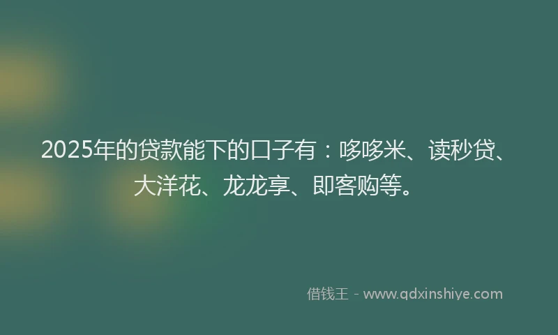 2025年的贷款能下的口子有：哆哆米、读秒贷、大洋花、龙龙享、即客购等。