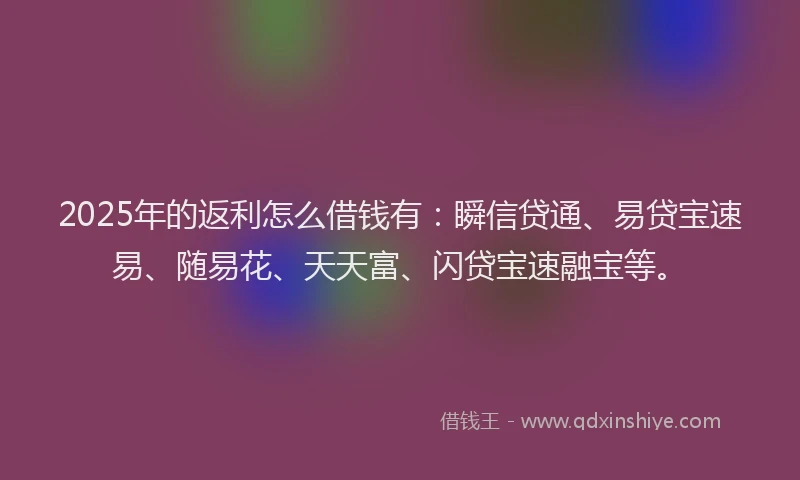 2025年的返利怎么借钱有：瞬信贷通、易贷宝速易、随易花、天天富、闪贷宝速融宝等。