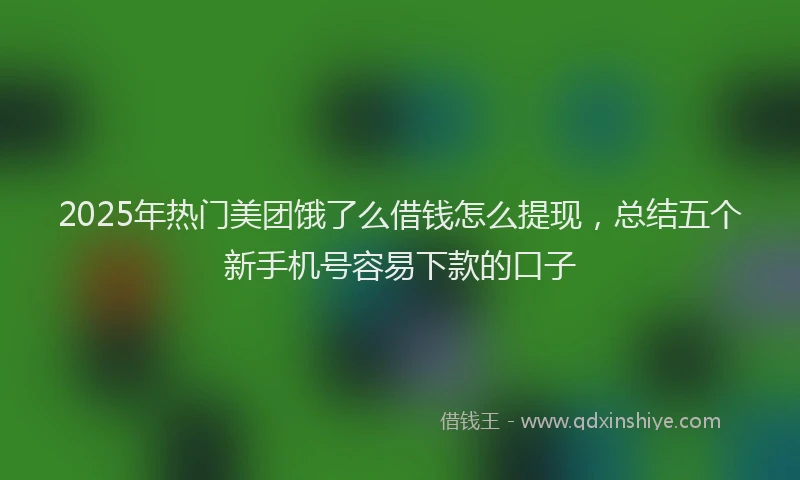 2025年热门美团饿了么借钱怎么提现，总结五个新手机号容易下款的口子