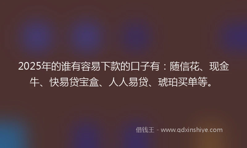 2025年的谁有容易下款的口子有：随信花、现金牛、快易贷宝盒、人人易贷、琥珀买单等。