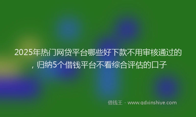 2025年热门网贷平台哪些好下款不用审核通过的，归纳5个借钱平台不看综合评估的口子