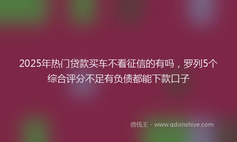 2025年热门贷款买车不看征信的有吗，罗列5个综合评分不足有负债都能下款口子