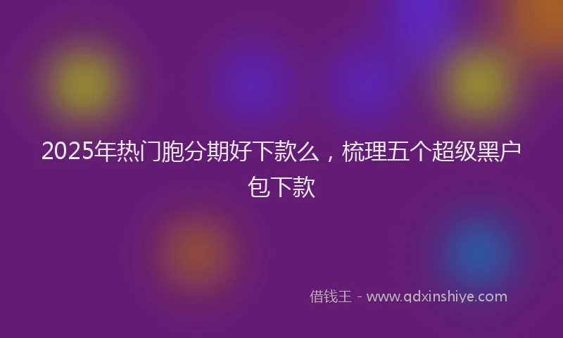 2025年热门胞分期好下款么，梳理五个超级黑户包下款