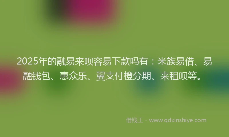2025年的融易来呗容易下款吗有：米族易借、易融钱包、惠众乐、翼支付橙分期、来租呗等。
