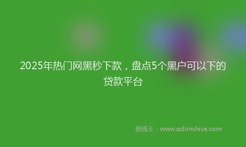 2025年热门网黑秒下款，盘点5个黑户可以下的贷款平台