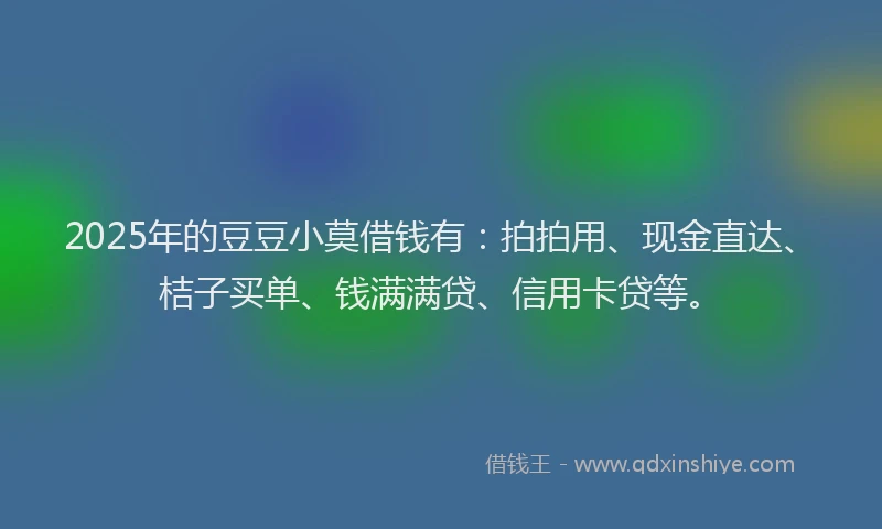 2025年的豆豆小莫借钱有：拍拍用、现金直达、桔子买单、钱满满贷、信用卡贷等。