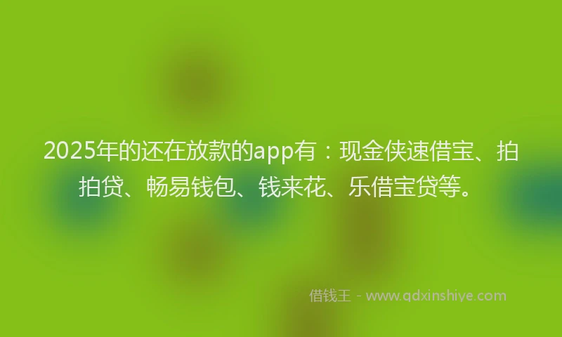 2025年的还在放款的app有：现金侠速借宝、拍拍贷、畅易钱包、钱来花、乐借宝贷等。