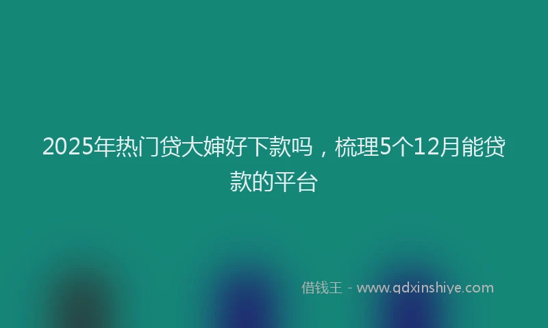 2025年热门贷大婶好下款吗，梳理5个12月能贷款的平台