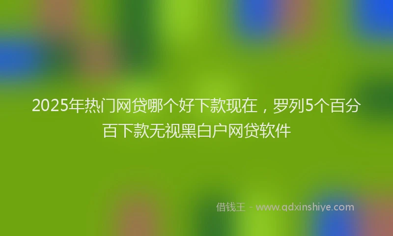 2025年热门网贷哪个好下款现在，罗列5个百分百下款无视黑白户网贷软件