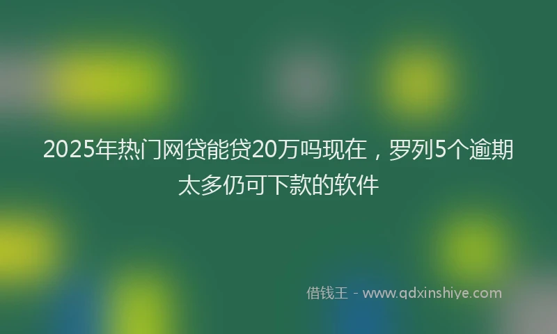 2025年热门网贷能贷20万吗现在，罗列5个逾期太多仍可下款的软件