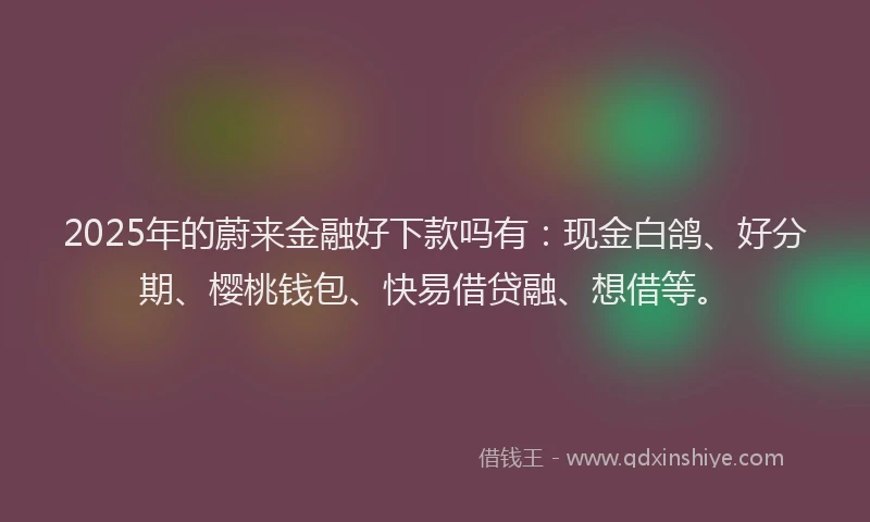 2025年的蔚来金融好下款吗有：现金白鸽、好分期、樱桃钱包、快易借贷融、想借等。