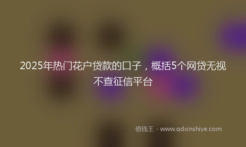 2025年热门花户贷款的口子，概括5个网贷无视不查征信平台