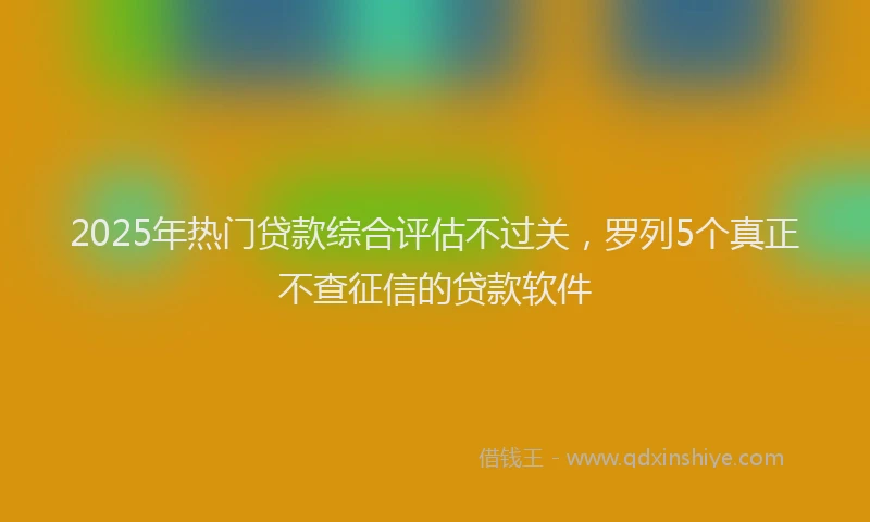 2025年热门贷款综合评估不过关，罗列5个真正不查征信的贷款软件