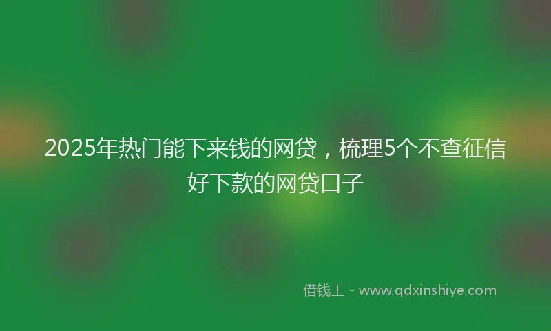 2025年热门能下来钱的网贷，梳理5个不查征信好下款的网贷口子