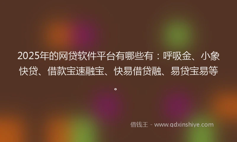 2025年的网贷软件平台有哪些有：呼吸金、小象快贷、借款宝速融宝、快易借贷融、易贷宝易等。
