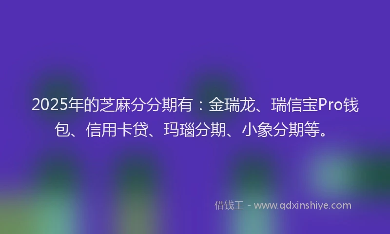2025年的芝麻分分期有：金瑞龙、瑞信宝Pro钱包、信用卡贷、玛瑙分期、小象分期等。