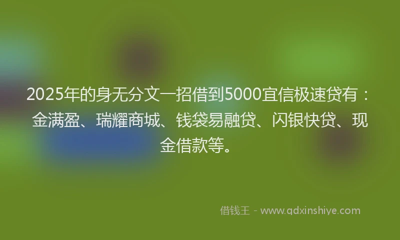 2025年的身无分文一招借到5000宜信极速贷有:金满盈、瑞耀商城、钱袋易融贷、闪银快贷、现金借款等。