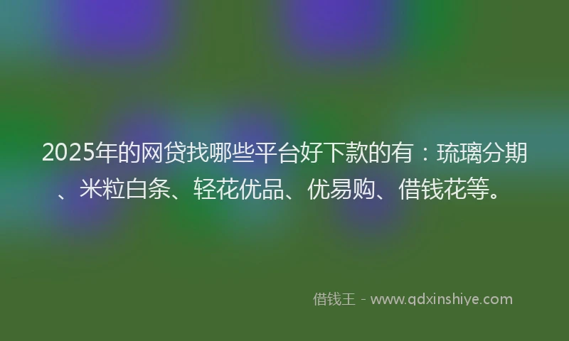 2025年的网贷找哪些平台好下款的有：琉璃分期、米粒白条、轻花优品、优易购、借钱花等。