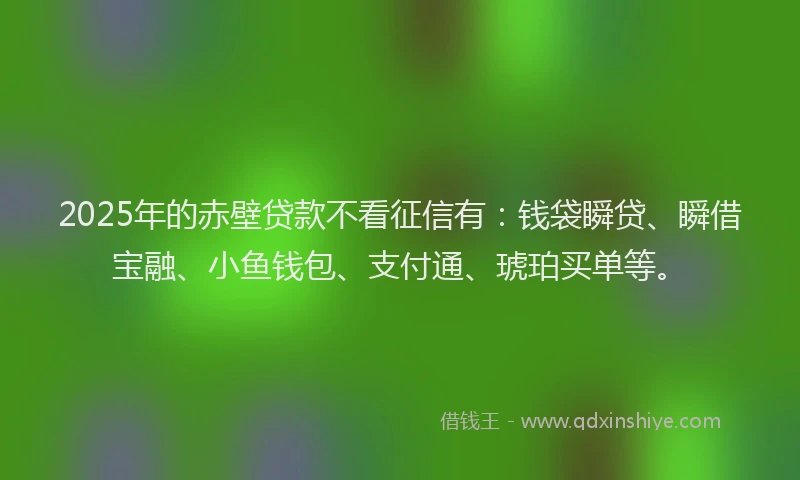 2025年的赤壁贷款不看征信有：钱袋瞬贷、瞬借宝融、小鱼钱包、支付通、琥珀买单等。
