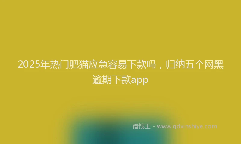 2025年热门肥猫应急容易下款吗，归纳五个网黑逾期下款app