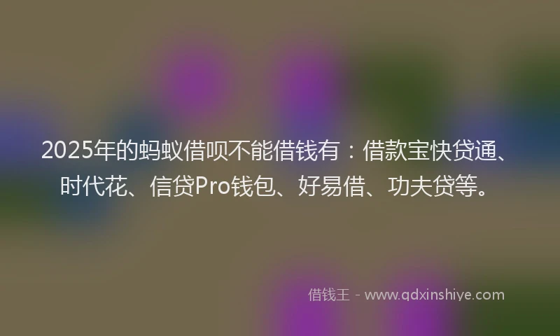 2025年的蚂蚁借呗不能借钱有：借款宝快贷通、时代花、信贷Pro钱包、好易借、功夫贷等。