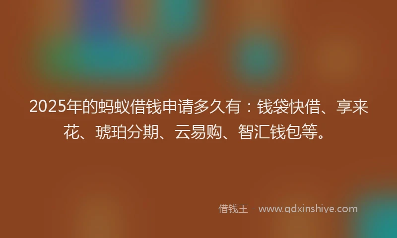 2025年的蚂蚁借钱申请多久有：钱袋快借、享来花、琥珀分期、云易购、智汇钱包等。