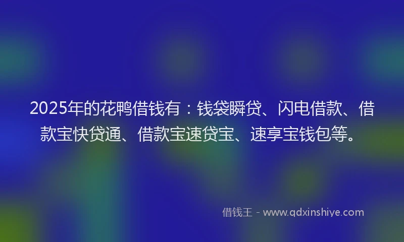 2025年的花鸭借钱有：钱袋瞬贷、闪电借款、借款宝快贷通、借款宝速贷宝、速享宝钱包等。